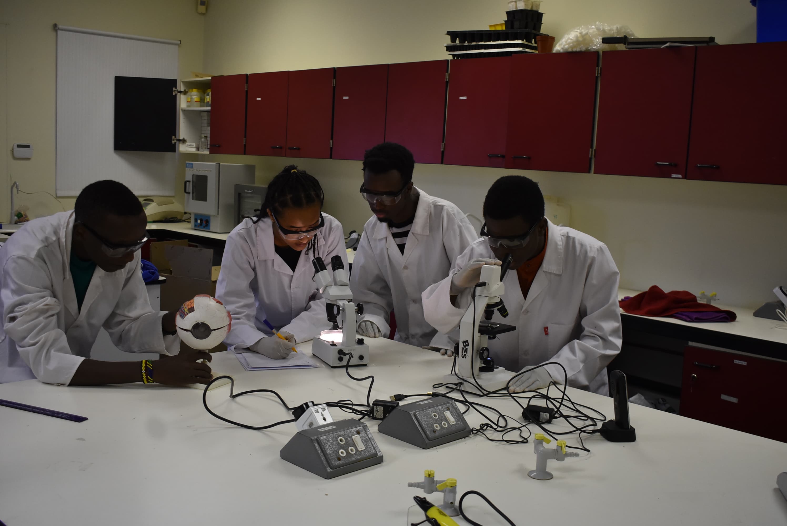 African scientists conducting research in laboratory